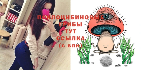прущие крисы Абаза