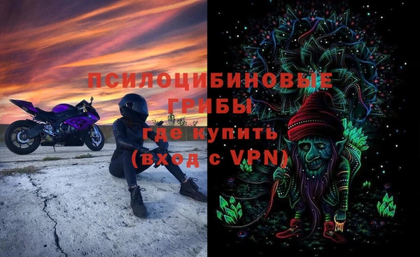 прущие крисы Абаза