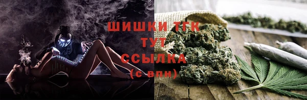 прущие крисы Абаза