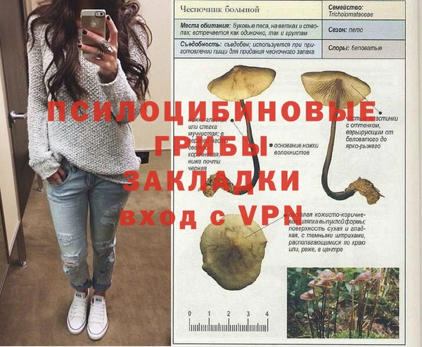 прущие крисы Абаза