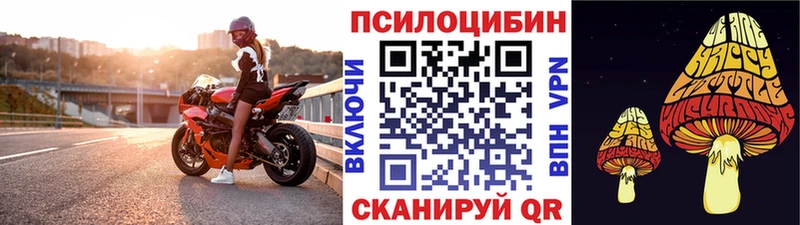 где продают наркотики  Новочебоксарск  Псилоцибиновые грибы Magic Shrooms 